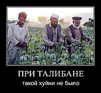 ПРИ ТАЛИБАНЕ такой хуйни не было