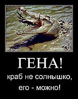 ГЕНА! краб не солнышко, его - можно!