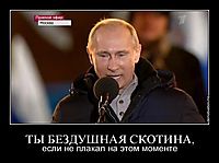 ТЫ БЕЗДУШНАЯ СКОТИНА, если не плакал на этом моменте