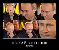 НЮХАЙ ВОРОТНИК плачь