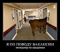 Я ПО ПОВОДУ ВАКАНСИИ менеджер по продажам