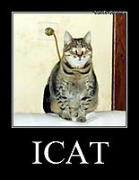 ICAT 