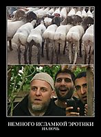 НЕМНОГО ИСЛАМКОЙ ЭРОТИКИ НА НОЧЬ