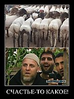 СЧАСТЬЕ-ТО КАКОЕ! 