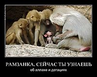 РАМЗАНКА, СЕЙЧАС ТЫ УЗНАЕШЬ об аллахе и дотациях