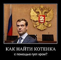КАК НАЙТИ КОТЕНКА с помощью гугл хром?