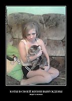 КОТЫ В СВОЕЙ ЖИЗНИ ВЫНУЖДЕНЫ видеть всякое