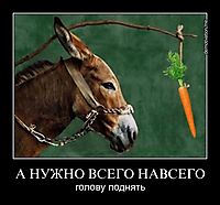 А НУЖНО ВСЕГО НАВСЕГО голову поднять