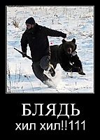 БЛЯДЬ хил хил!!111
