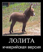 ЛОЛИТА ичкерийская версия