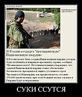 СУКИ ССУТСЯ 