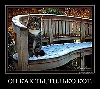 ОН КАК ТЫ, ТОЛЬКО КОТ. 