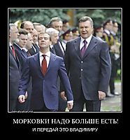 МОРКОВКИ НАДО БОЛЬШЕ ЕСТЬ! И ПЕРЕДАЙ ЭТО ВЛАДИМИРУ