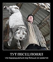 ТУТ ПЕСЕЦ ПОНЯЛ что подкрадываться ему больше не нравится