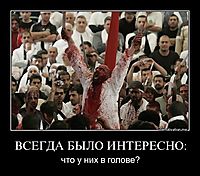 ВСЕГДА БЫЛО ИНТЕРЕСНО: что у них в голове?
