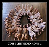 СОН В ЛЕТНЮЮ НОЧЬ... 