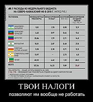 ТВОИ НАЛОГИ позволяют им вообще не работать