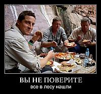 ВЫ НЕ ПОВЕРИТЕ все в лесу нашли