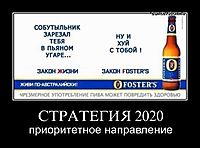 СТРАТЕГИЯ 2020 приоритетное направление