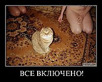 ВСЕ ВКЛЮЧЕНО! 