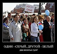 ОДИН - СЕРЫЙ, ДРУГОЙ - БЕЛЫЙ два веселых гуся!