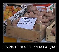СУРКОВСКАЯ ПРОПАГАНДА 