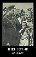 В ЖИВОТИК