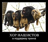 ХОР НАШИСТОВ в поддержку пукина