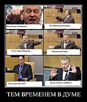 ТЕМ ВРЕМЕНЕМ В ДУМЕ 