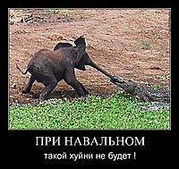ПРИ НАВАЛЬНОМ такой хуйни не будет !