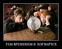 ТЕМ ВРЕМЕНЕМ В  ХОГВАРТСЕ 