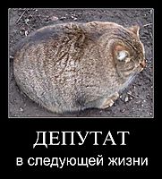 ДЕПУТАТ в следующей жизни