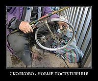 СКОЛКОВО - НОВЫЕ ПОСТУПЛЕНИЯ 