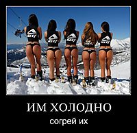 ИМ ХОЛОДНО согрей их
