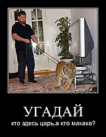 УГАДАЙ кто здесь царь,а кто макака?
