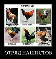 ОТРЯД НАШИСТОВ 