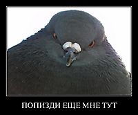 ПОПИЗДИ ЕЩЕ МНЕ ТУТ 