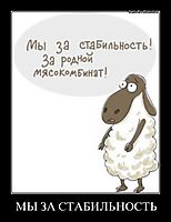 МЫ ЗА СТАБИЛЬНОСТЬ 