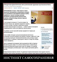 ИНСТИНКТ САМОСОХРАНЕНИЯ 
