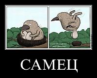 САМЕЦ 