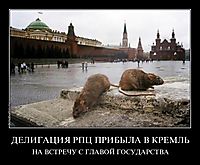 ДЕЛИГАЦИЯ РПЦ ПРИБЫЛА В КРЕМЛЬ НА ВСТРЕЧУ С ГЛАВОЙ ГОСУДАРСТВА