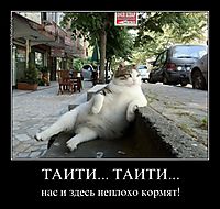 ТАИТИ... ТАИТИ... нас и здесь неплохо кормят!