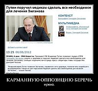 КАРМАННУЮ ОППОЗИЦИЮ БЕРЕЧЬ нужно.
