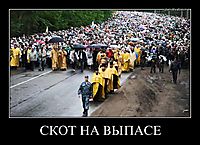 СКОТ НА ВЫПАСЕ 