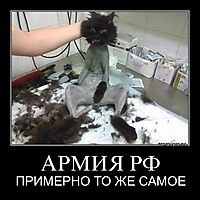 АРМИЯ РФ ПРИМЕРНО ТО ЖЕ САМОЕ