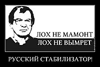 РУССКИЙ СТАБИЛИЗАТОР! 