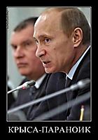 КРЫСА-ПАРАНОИК 