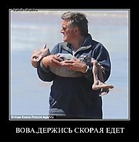 ВОВА,ДЕРЖИСЬ СКОРАЯ ЕДЕТ 