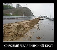 СУРОВЫЙ ЧЕЛЯБИНСКИЙ КРОТ 