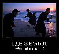 ГДЕ ЖЕ ЭТОТ ебаный шекель?